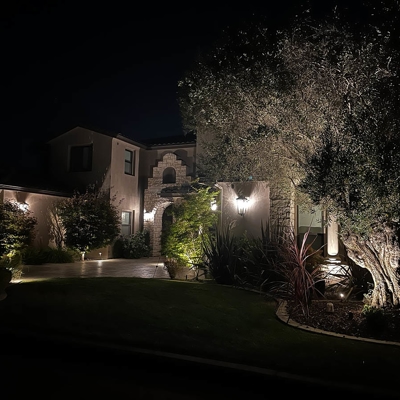 Landscape lighting adds curb appeal to trees and other plants in your yard. Photo